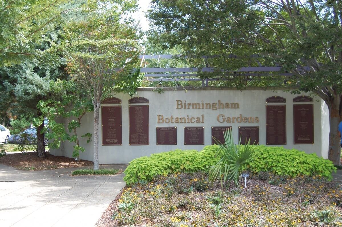 Rediscovering Birmingham Botanical Gardens